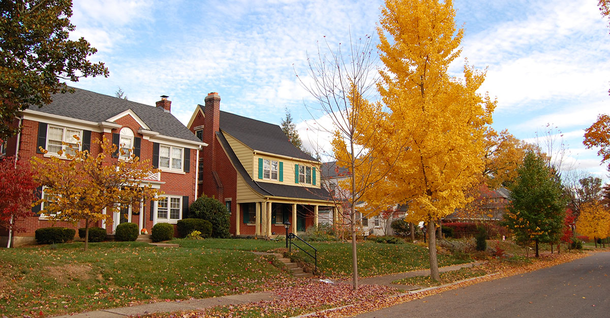 Suburban homes on an autumn day