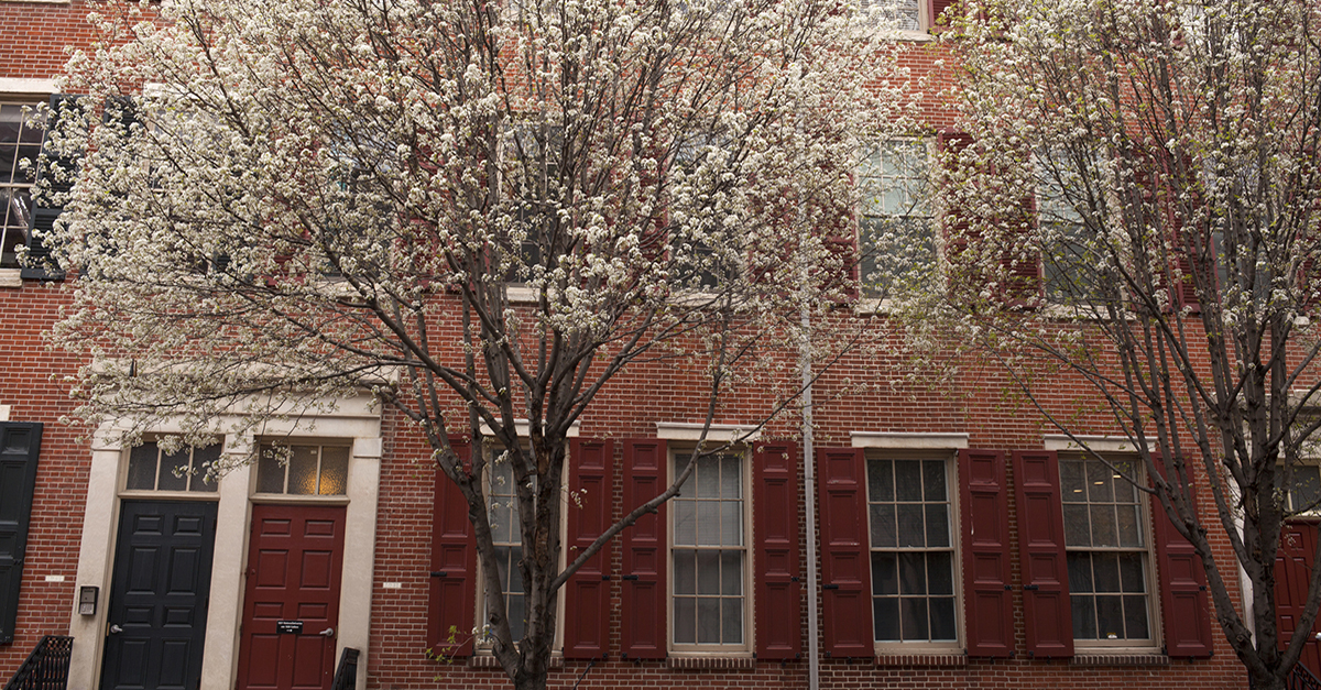 Rowhomes on a city street